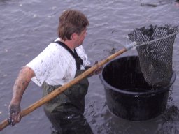 Abfischen 2006